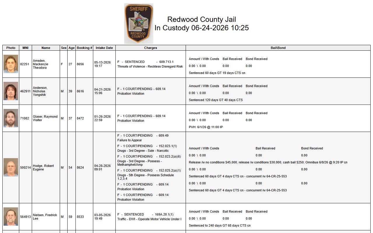 Redwood County inmate search official jail custody list